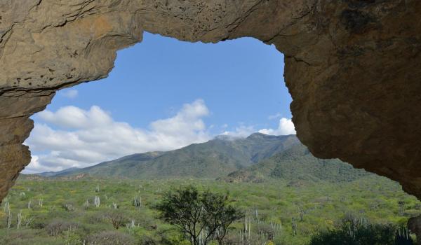 Valle de Tehuacán-Cuicatlán: hábitat originario de Mesoamérica