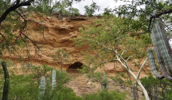 Valle de Tehuacán-Cuicatlán: hábitat originario de Mesoamérica