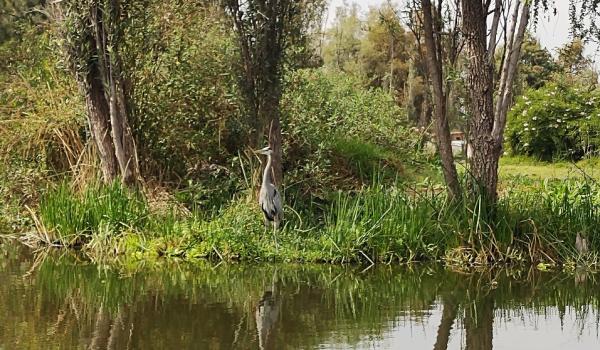Xochimilco