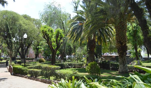 Parque Enrique Estrada