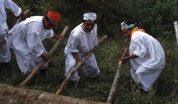 La ceremonia ritual de los Voladores