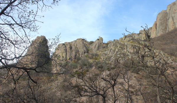 Ruta Wixárika