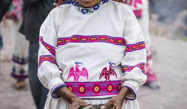 Ruta Wixárika