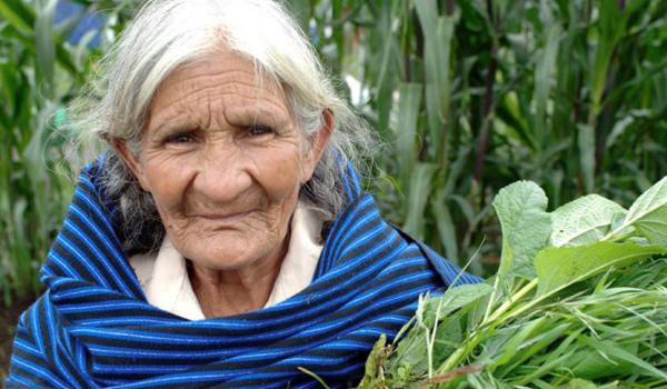La cocina tradicional mexicana: Una cultura comunitaria, ancestral y viva y el paradigma de Michoacán