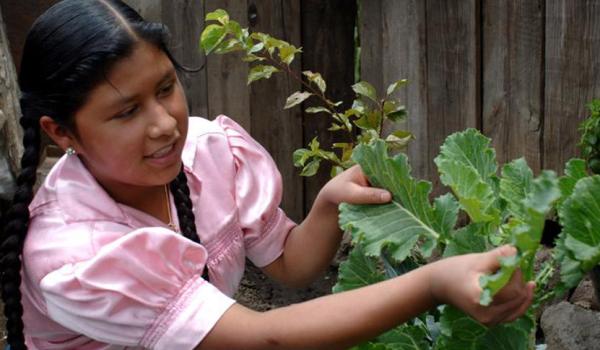 La cocina tradicional mexicana: Una cultura comunitaria, ancestral y viva y el paradigma de Michoacán