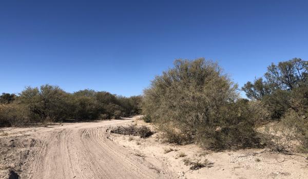 Tramo del Camino Real entre Nazas y San Pedro del Gallo