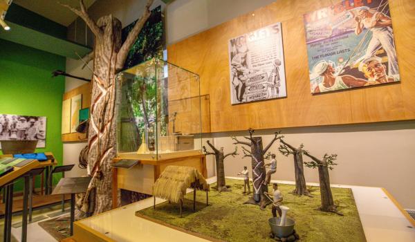 Museo Histórico de la Ciudad de Felipe Carrillo Puerto