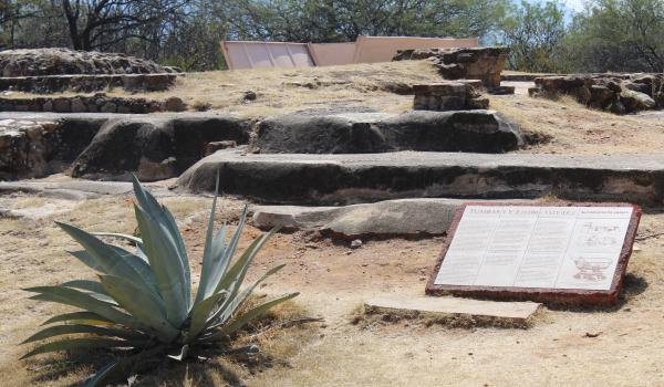Zona Arqueológica Zaachila