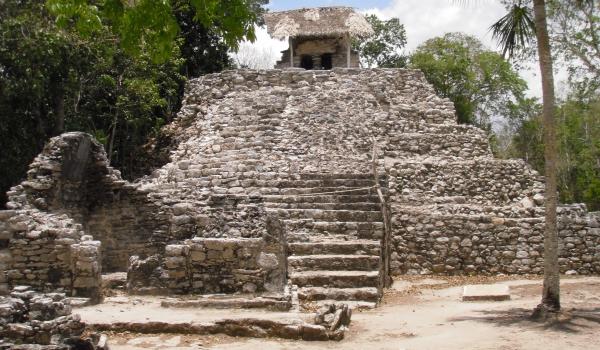 Cobá