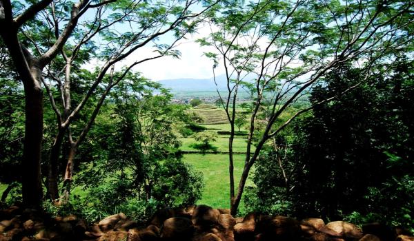 Guachimontones (Teuchitlán)