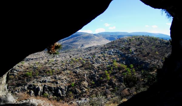 Cuevas de Mitla y Yagul