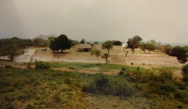 Tamohí (El Cosuelo)