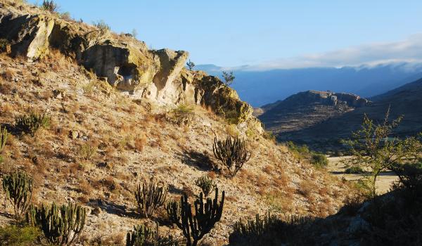 Cuevas de Mitla y Yagul