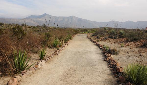Zona Paleontológica Rincón Colorado