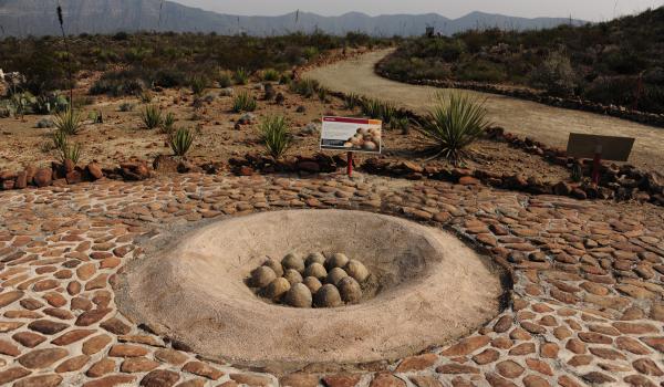 Zona Paleontológica Rincón Colorado