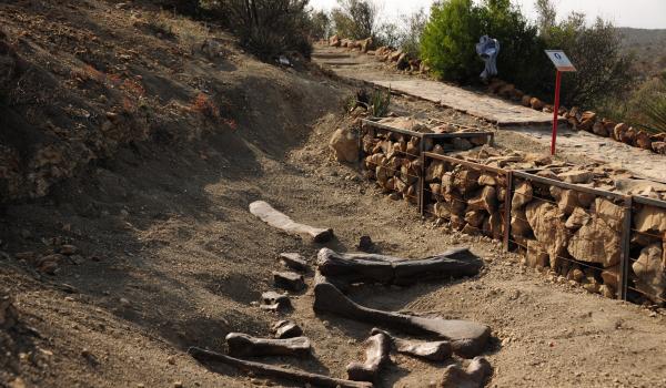 Zona Paleontológica Rincón Colorado
