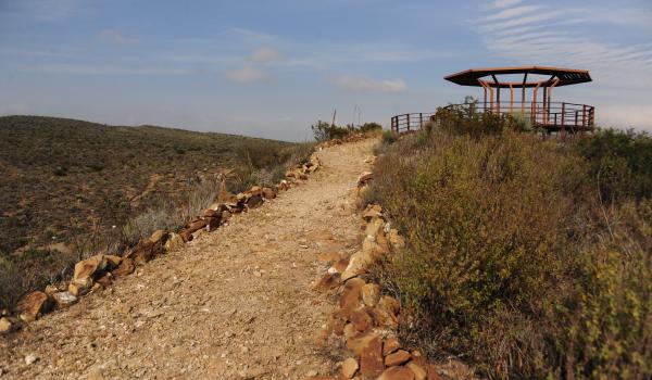 Zona Paleontológica Rincón Colorado