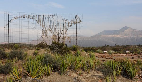 Zona Paleontológica Rincón Colorado