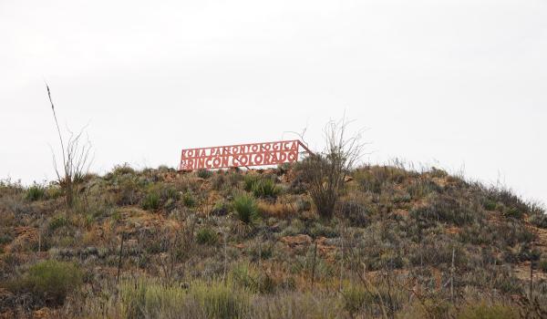 Zona Paleontológica Rincón Colorado