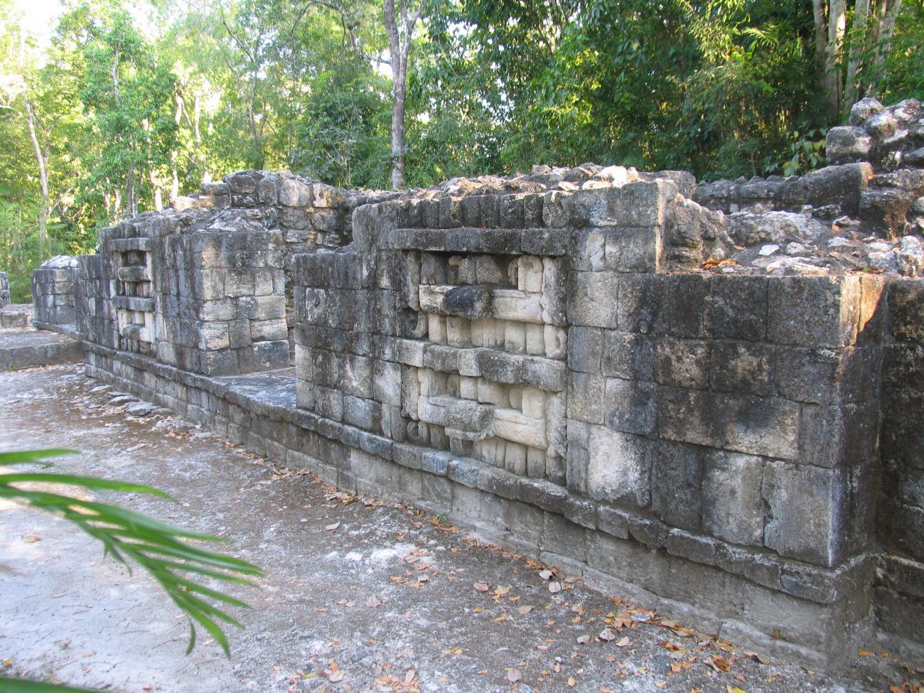Edificio D5-2