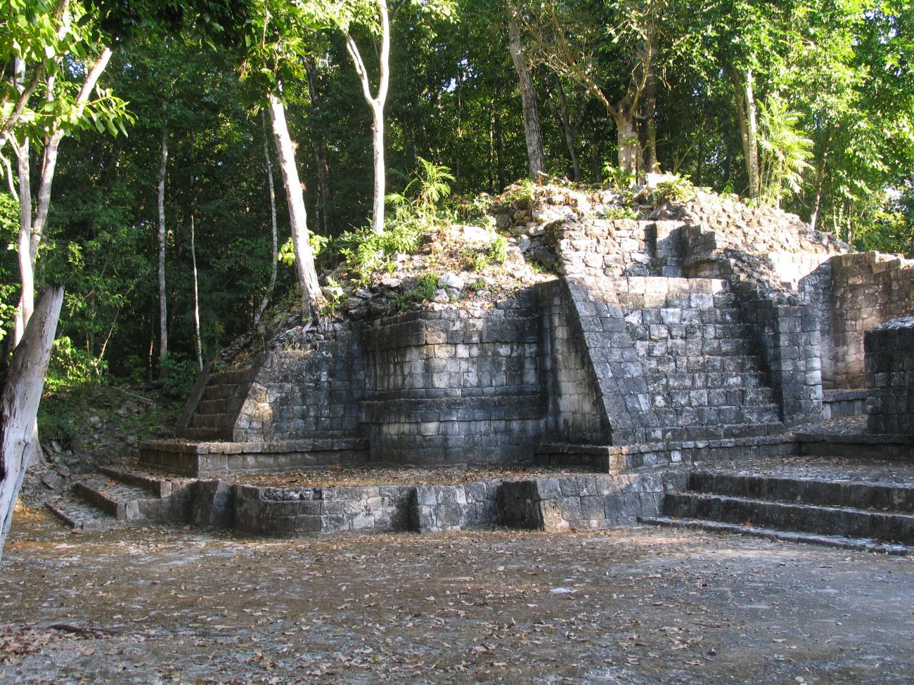 Estructura IV-B