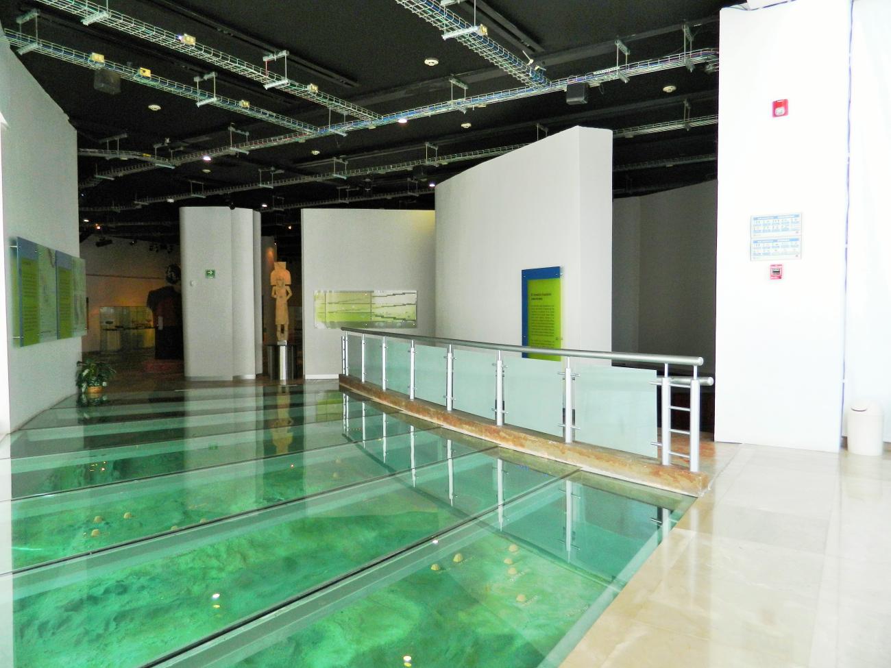 Sala Introductoria