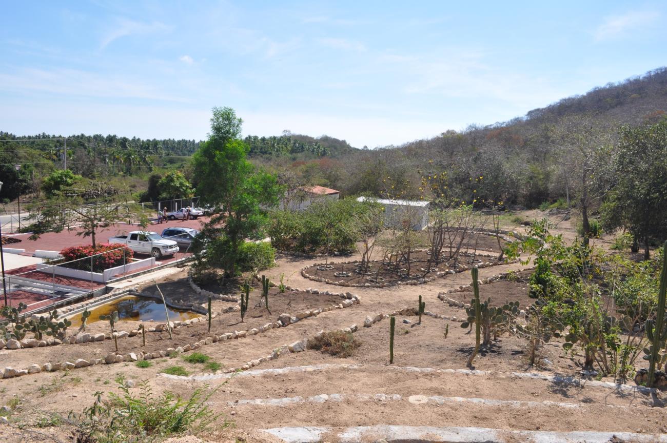 Jardín etnobotánico