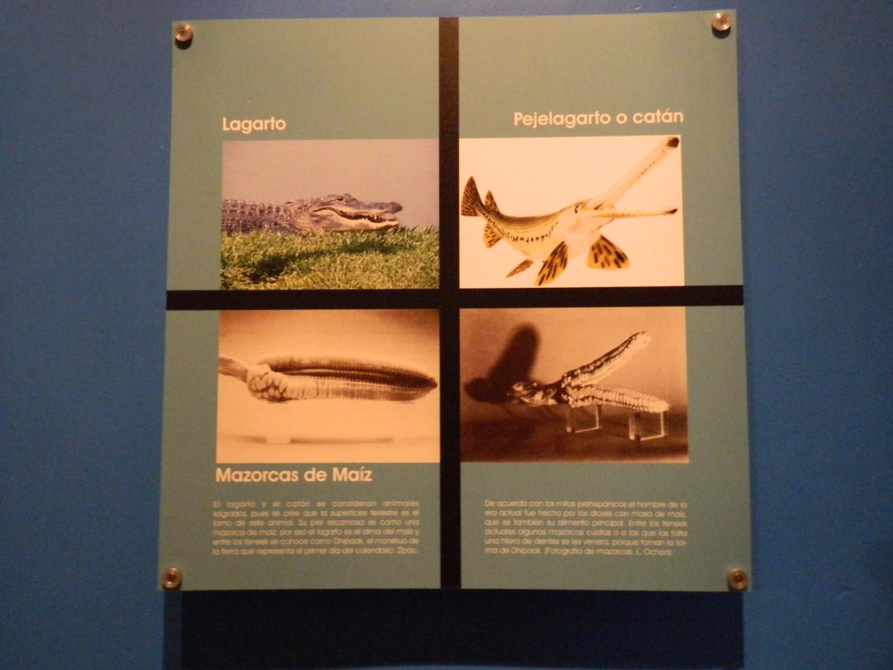 Sala Cosmovisión