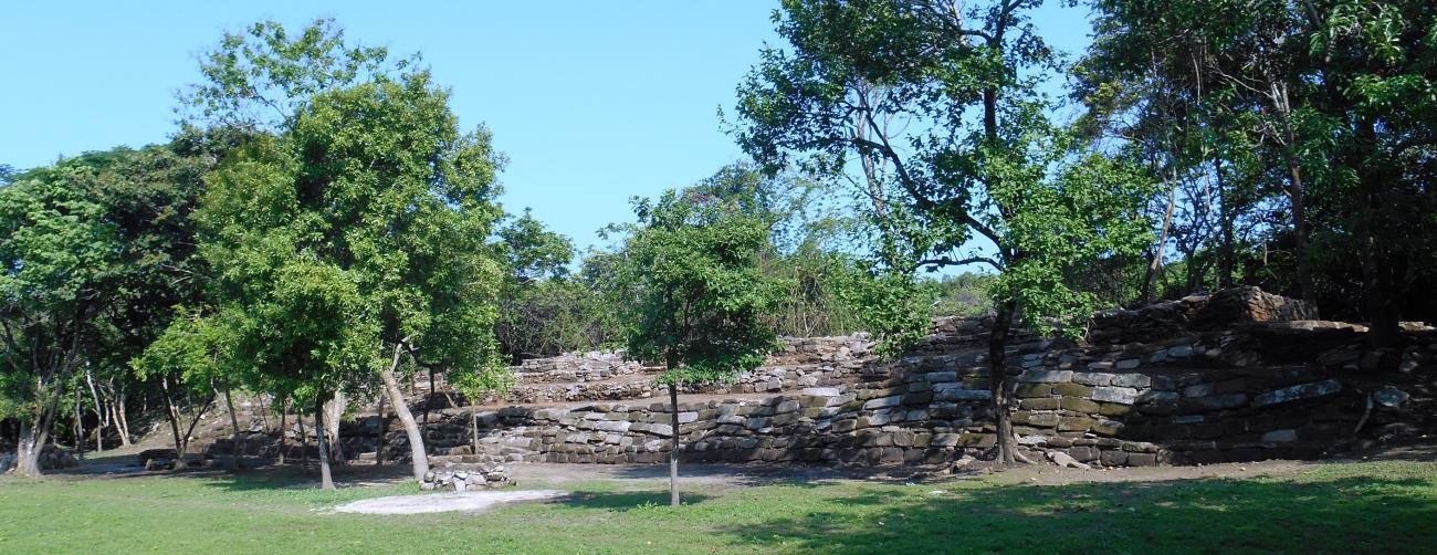 Estructura C-14