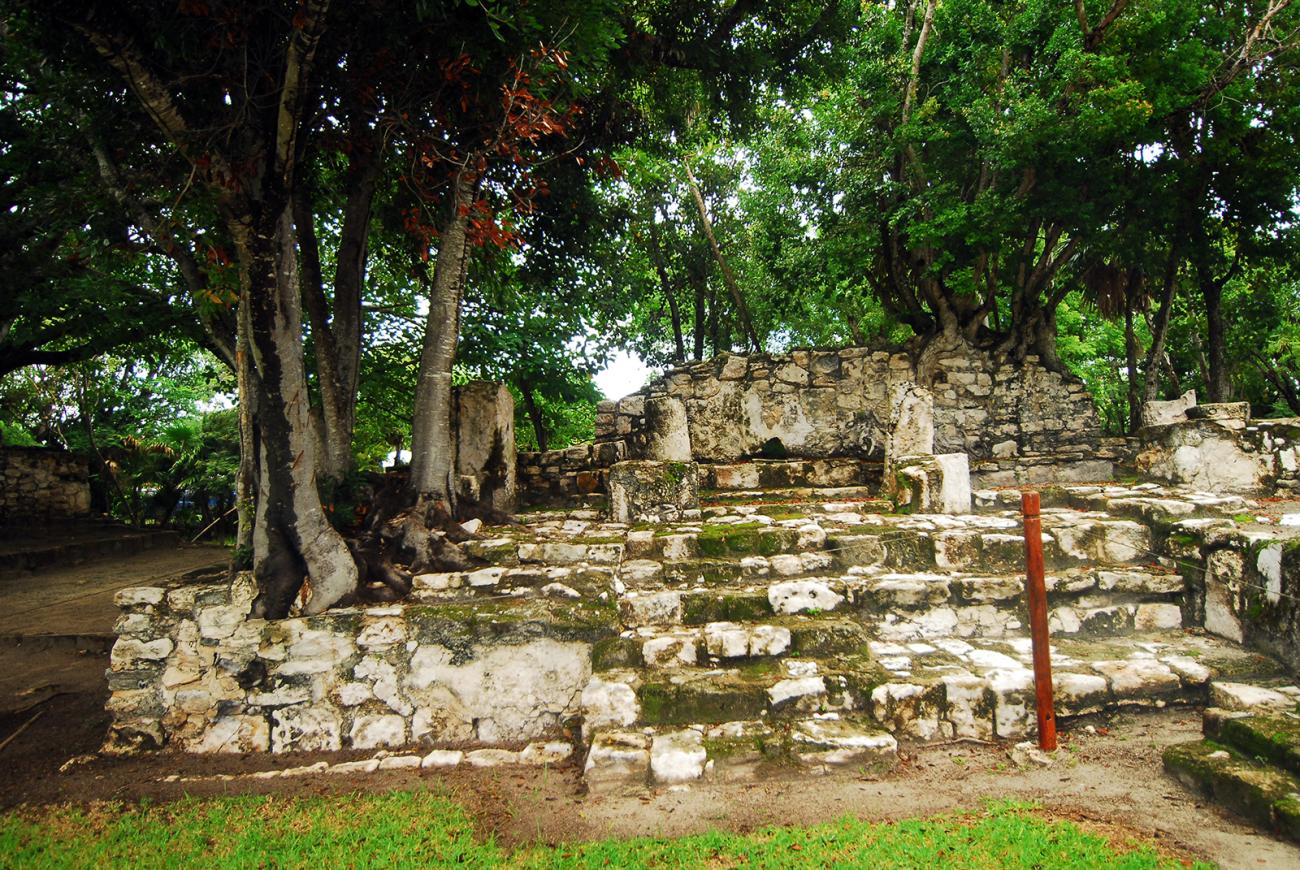 Estructura 4