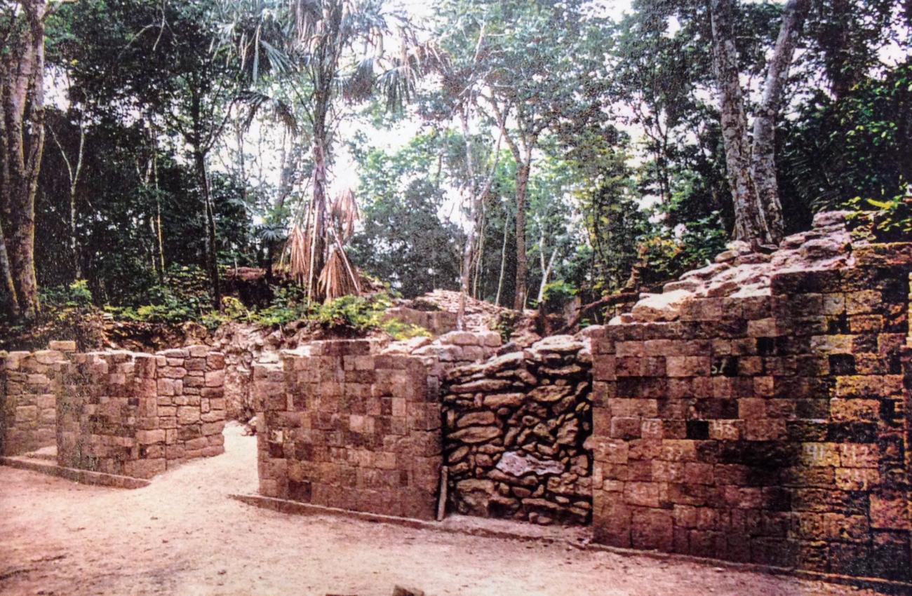 Estructura E-8