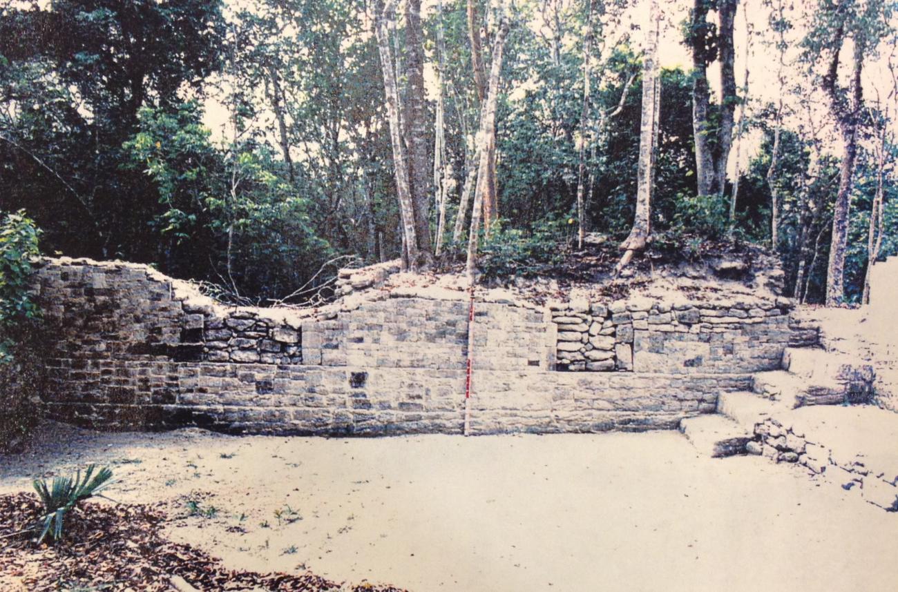 Estructura E-7