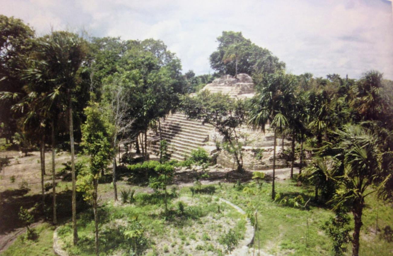 Estructura E-1
