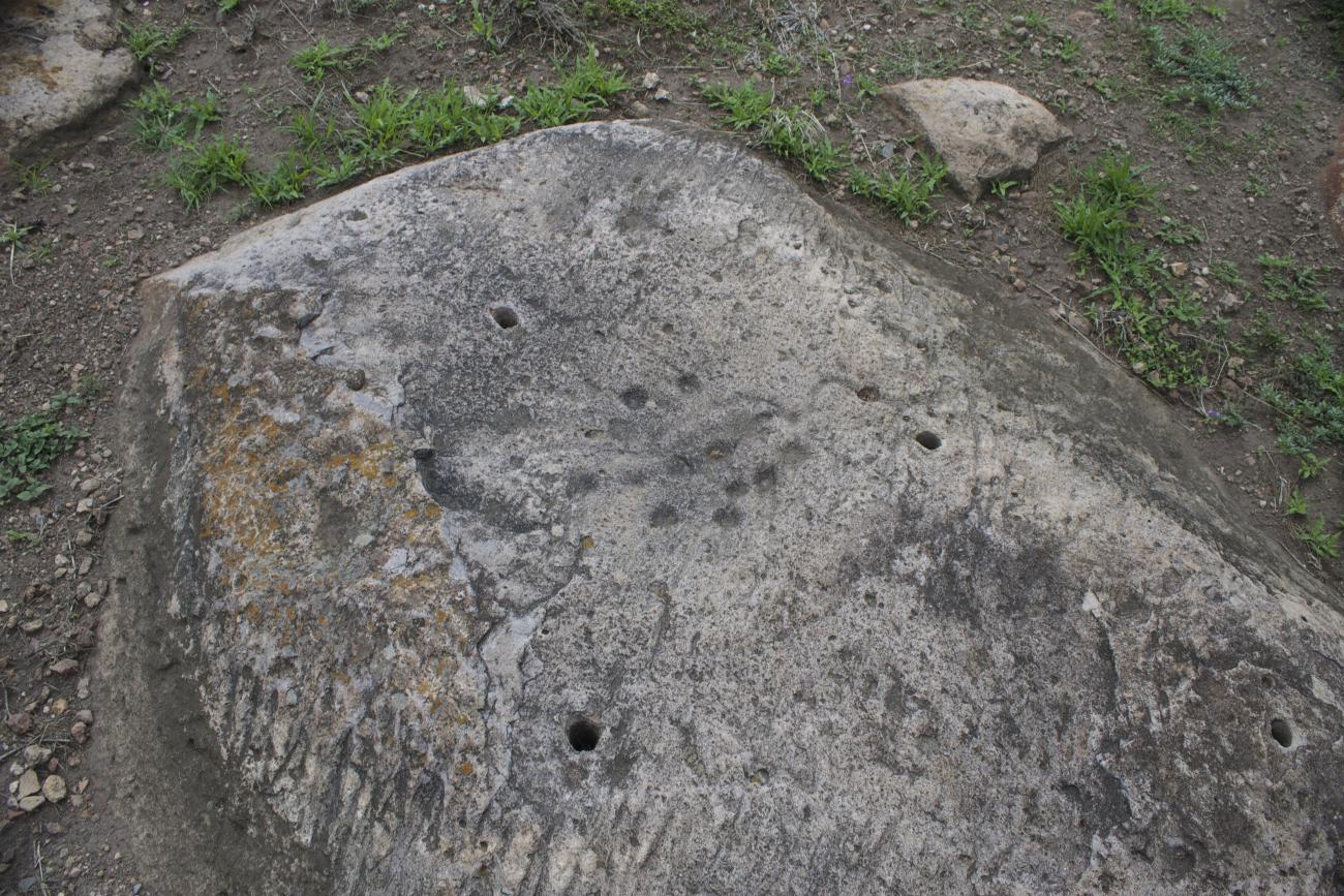 Área de petrograbados