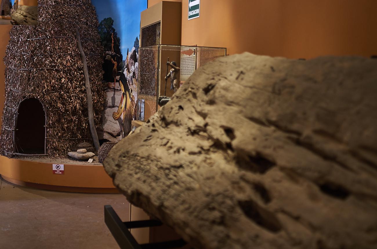 Prehistoria tardía