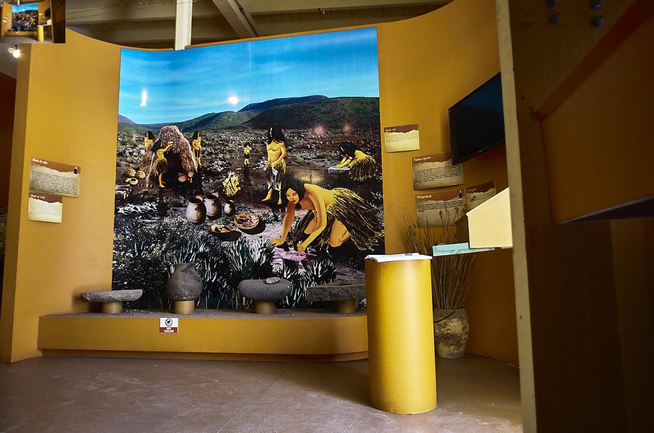 Prehistoria tardía