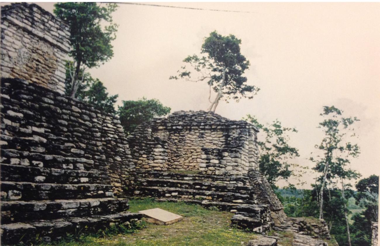 Templo del Saraguato