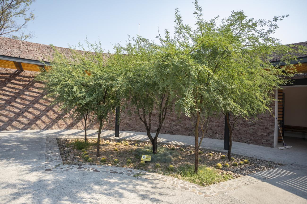 Jardín