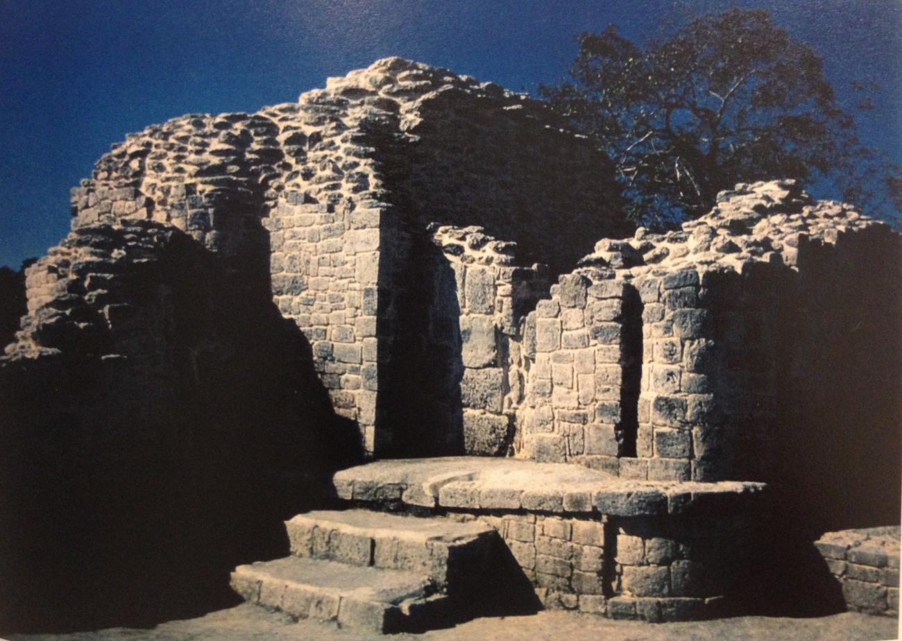 Patio Elevado
