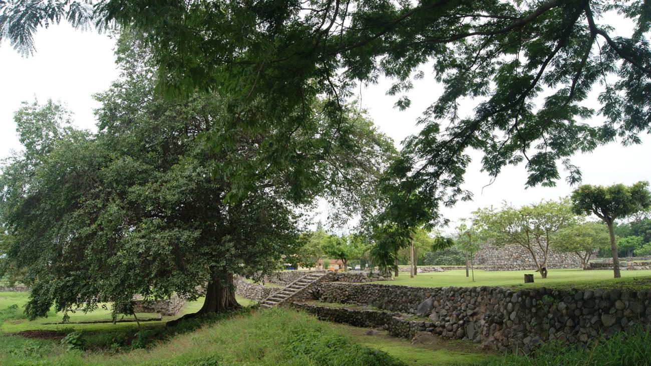 Árbol de Huizilacate y Paramento sur