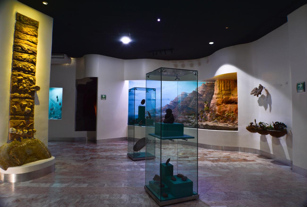 Arqueología