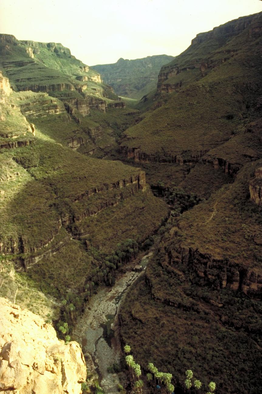 Vista desde El Cacarizo
