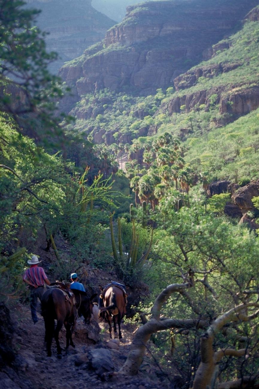 Camino final al oasis
