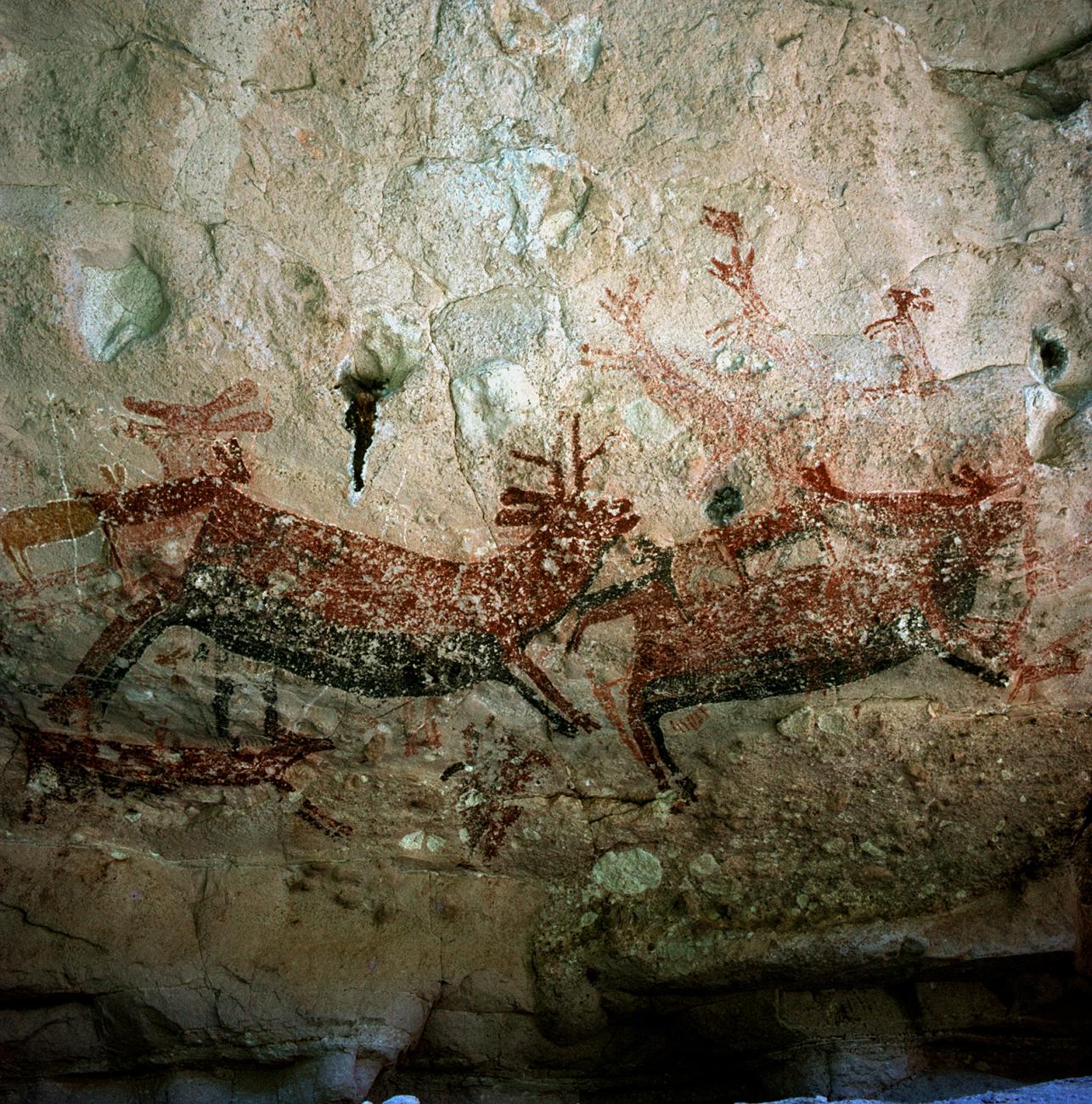 Sector del Panel central