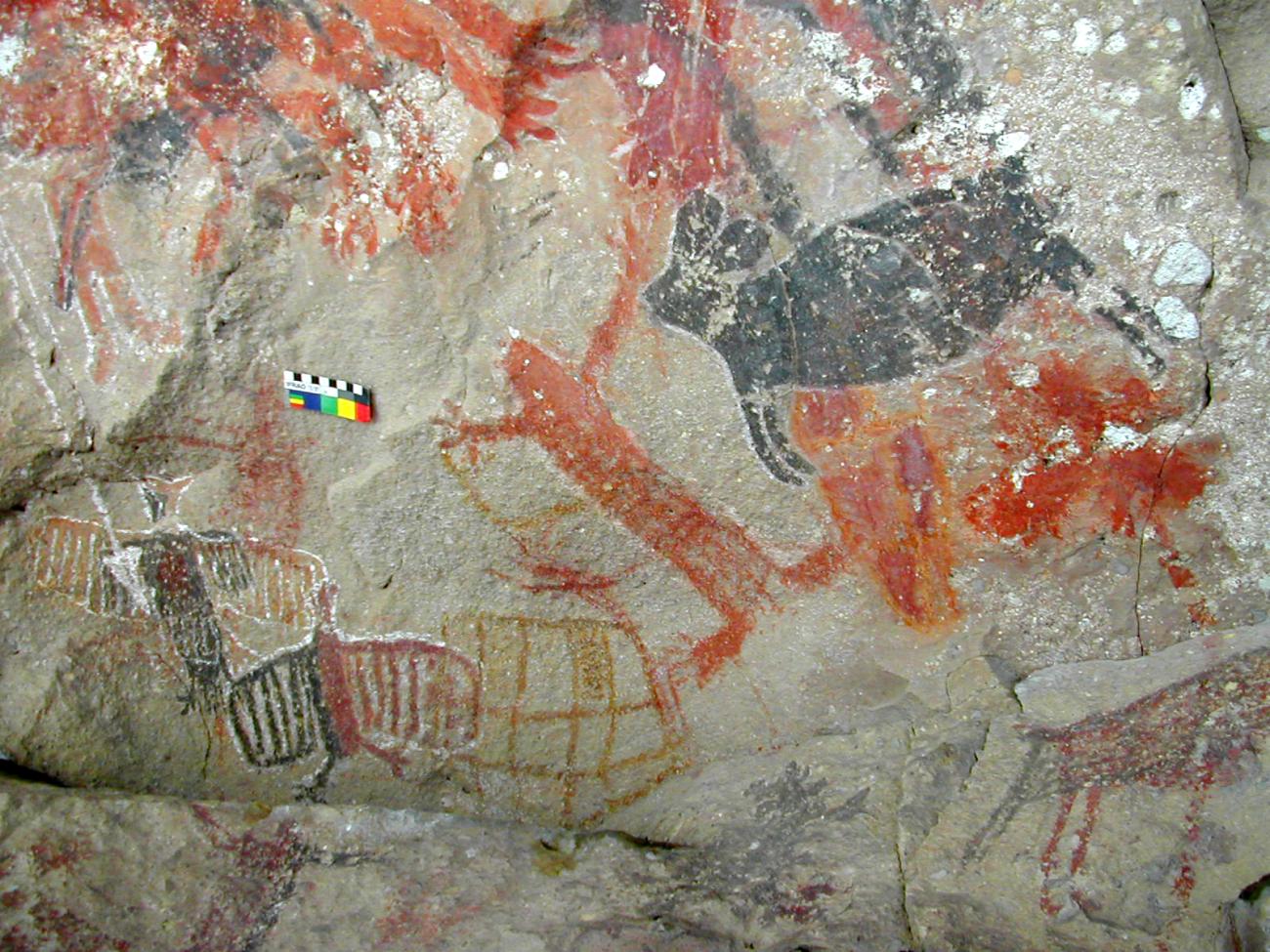 Panel Central