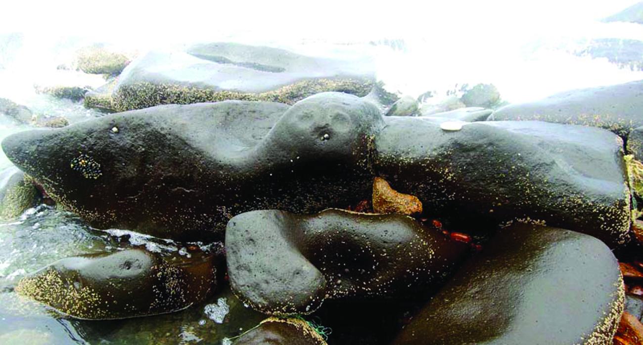 La mantarraya