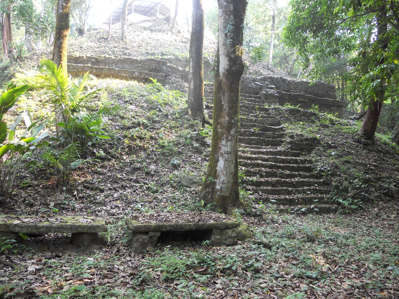 Estructura XXa
