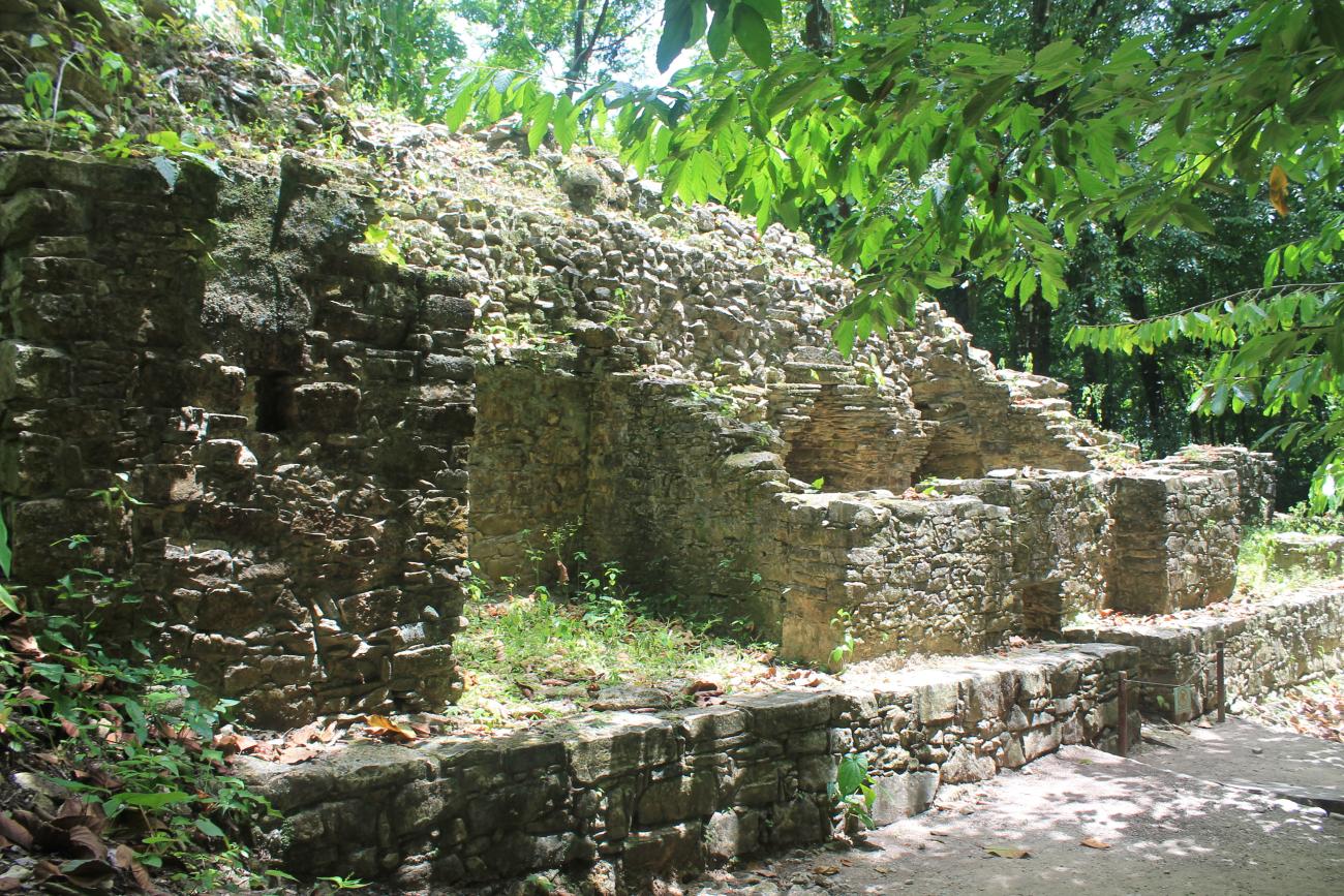 Grupo B