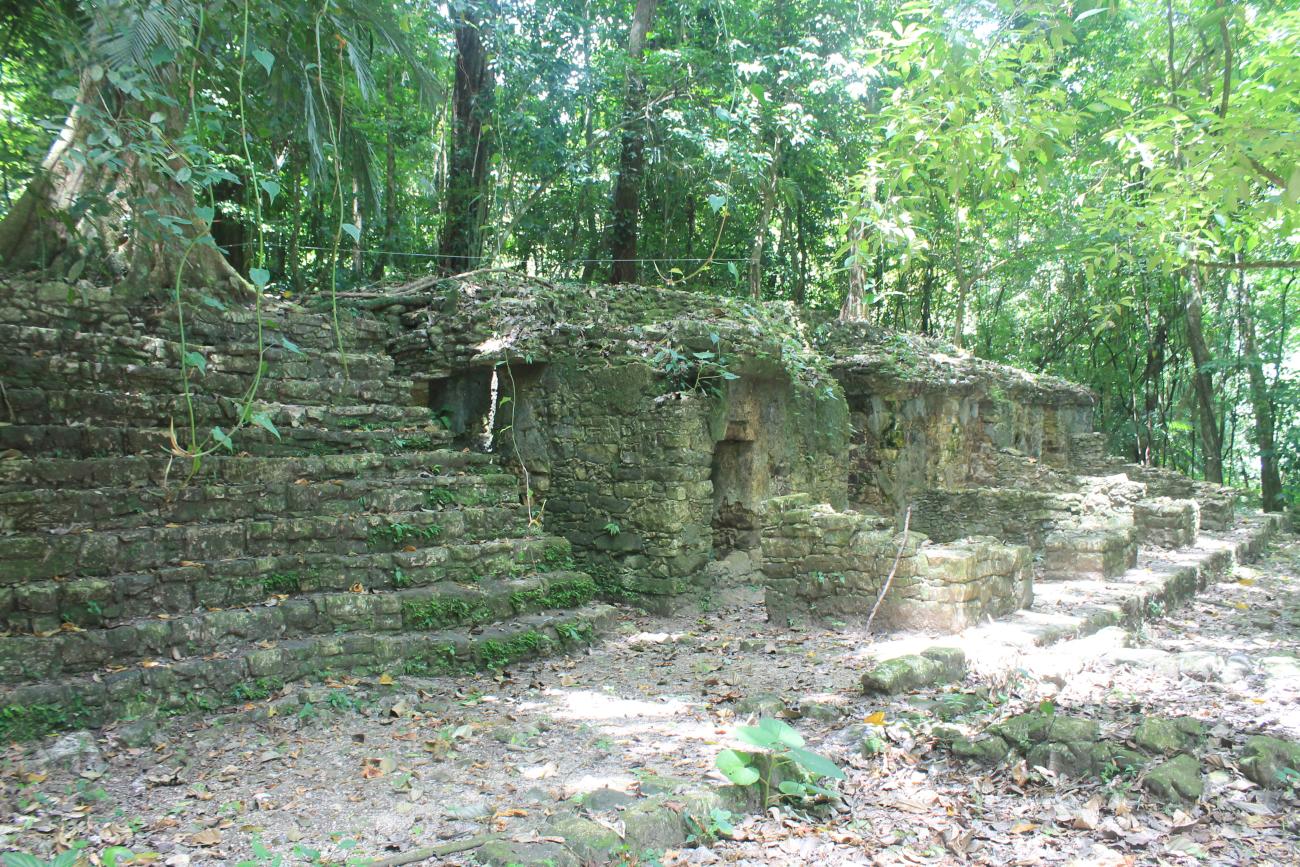 Grupo C