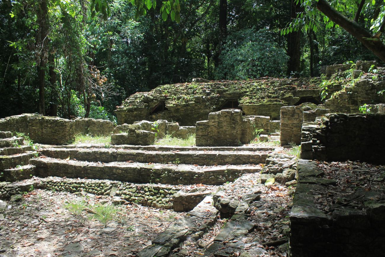 Grupo Murciélagos